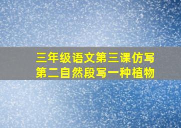 三年级语文第三课仿写第二自然段写一种植物