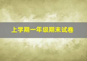 上学期一年级期末试卷