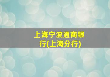 上海宁波通商银行(上海分行)