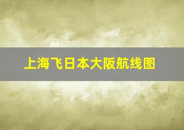 上海飞日本大阪航线图