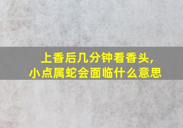 上香后几分钟看香头,小点属蛇会面临什么意思