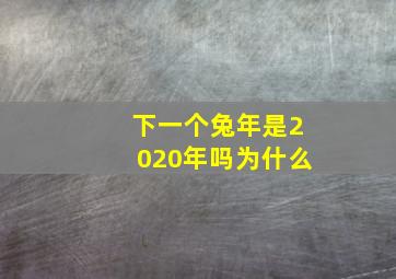 下一个兔年是2020年吗为什么