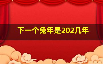 下一个兔年是202几年