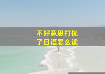 不好意思打扰了日语怎么读