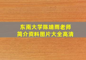 东南大学陈靖雨老师简介资料图片大全高清