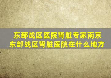 东部战区医院肾脏专家南京东部战区肾脏医院在什么地方