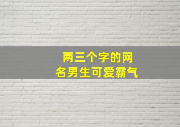 两三个字的网名男生可爱霸气