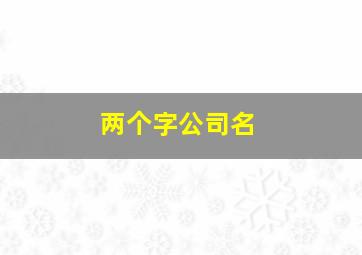 两个字公司名