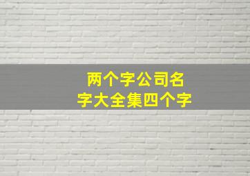 两个字公司名字大全集四个字