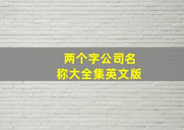 两个字公司名称大全集英文版