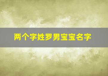 两个字姓罗男宝宝名字