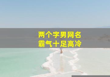 两个字男网名霸气十足高冷