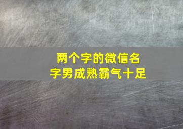 两个字的微信名字男成熟霸气十足