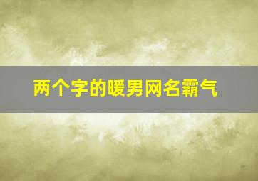 两个字的暖男网名霸气