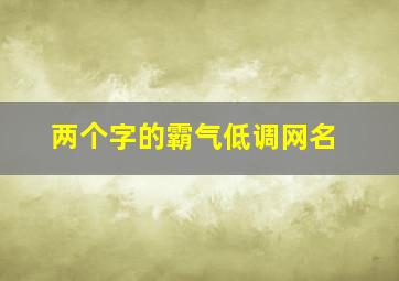 两个字的霸气低调网名