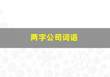 两字公司词语