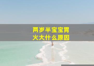 两岁半宝宝胃火大什么原因