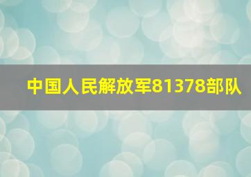 中国人民解放军81378部队