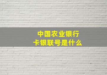 中国农业银行卡银联号是什么