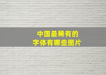 中国最稀有的字体有哪些图片