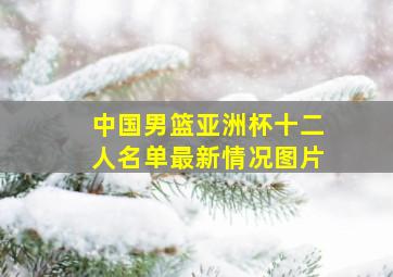 中国男篮亚洲杯十二人名单最新情况图片