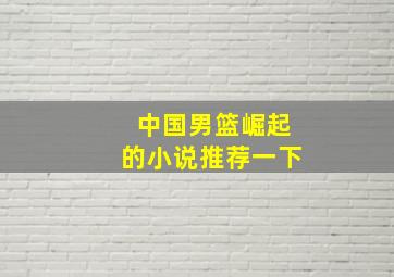 中国男篮崛起的小说推荐一下