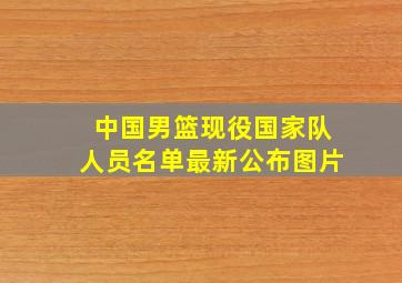 中国男篮现役国家队人员名单最新公布图片