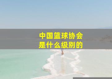 中国篮球协会是什么级别的