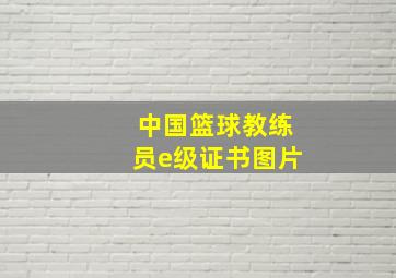 中国篮球教练员e级证书图片