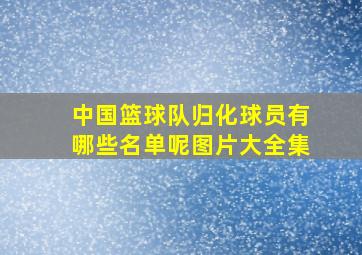 中国篮球队归化球员有哪些名单呢图片大全集