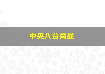 中央八台肖战