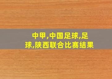 中甲,中国足球,足球,陕西联合比赛结果