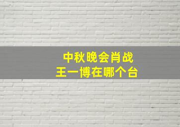 中秋晚会肖战王一博在哪个台