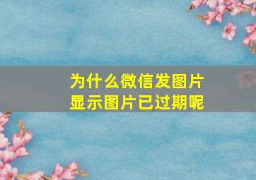 为什么微信发图片显示图片已过期呢