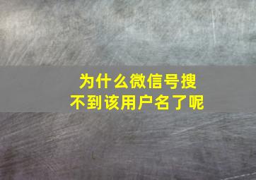 为什么微信号搜不到该用户名了呢