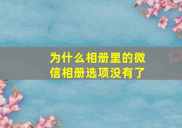 为什么相册里的微信相册选项没有了