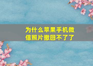 为什么苹果手机微信照片撤回不了了