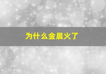 为什么金晨火了