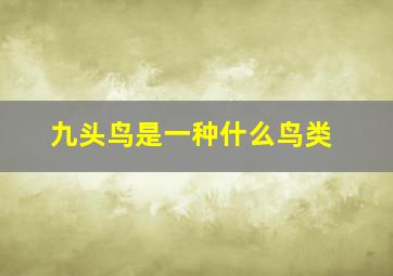 九头鸟是一种什么鸟类