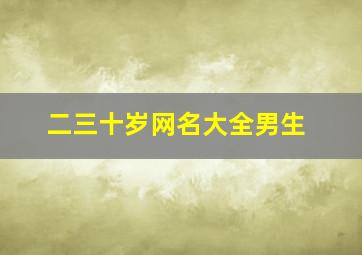 二三十岁网名大全男生