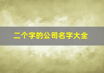 二个字的公司名字大全