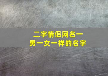 二字情侣网名一男一女一样的名字