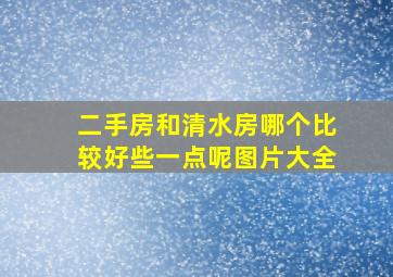 二手房和清水房哪个比较好些一点呢图片大全