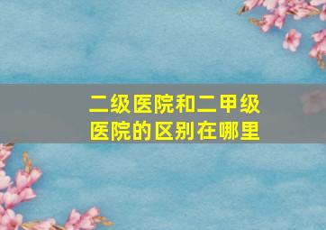 二级医院和二甲级医院的区别在哪里