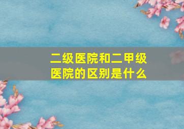 二级医院和二甲级医院的区别是什么