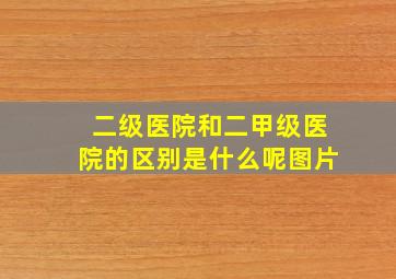 二级医院和二甲级医院的区别是什么呢图片