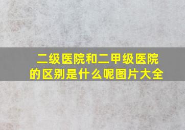 二级医院和二甲级医院的区别是什么呢图片大全