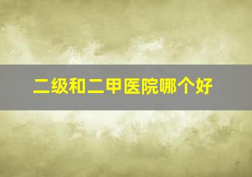 二级和二甲医院哪个好