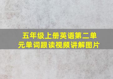 五年级上册英语第二单元单词跟读视频讲解图片