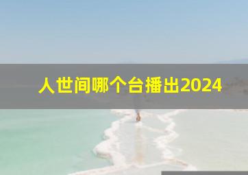 人世间哪个台播出2024